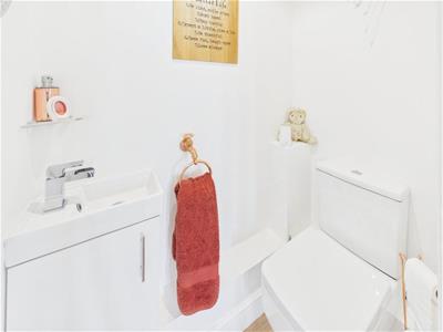 Picture 16